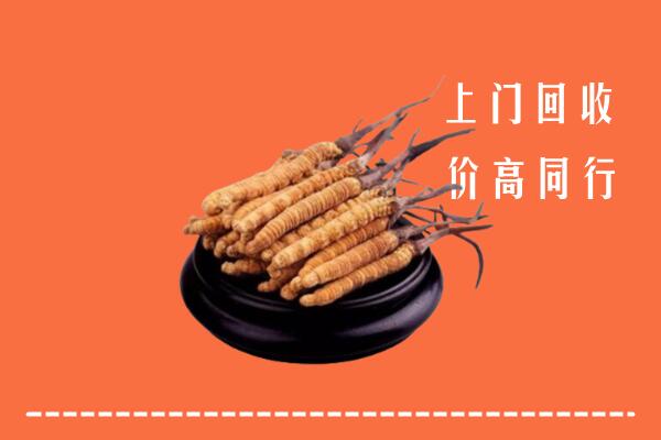 高价求购：建华区回收散虫草