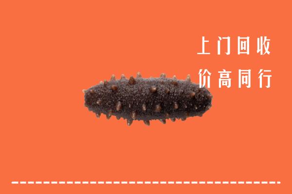 高价求购：建华区回收海参