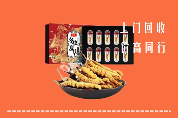 收购行情：建华区回收虫草